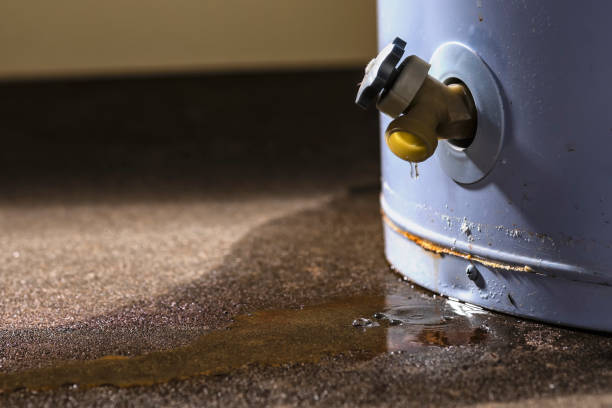  Lorane, PA Water damage restoration Pros