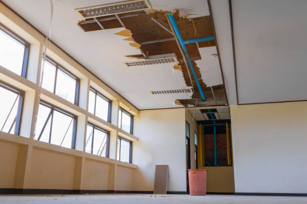 Best Water damage cleanup near me  in Lorane, PA