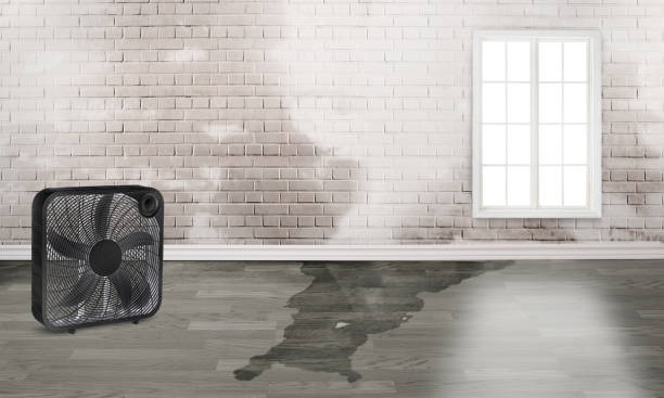 Best Local water damage restoration  in Lorane, PA