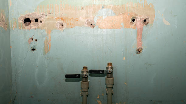 Best Carpet water damage restoration  in Lorane, PA