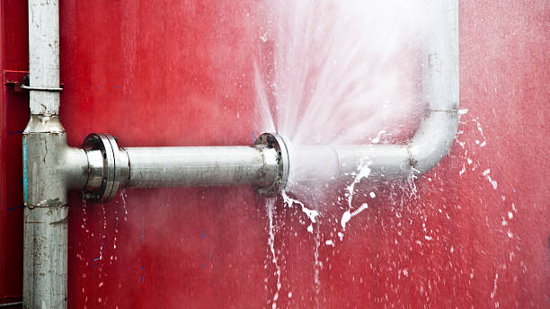 Best Mold removal after water damage  in Lorane, PA